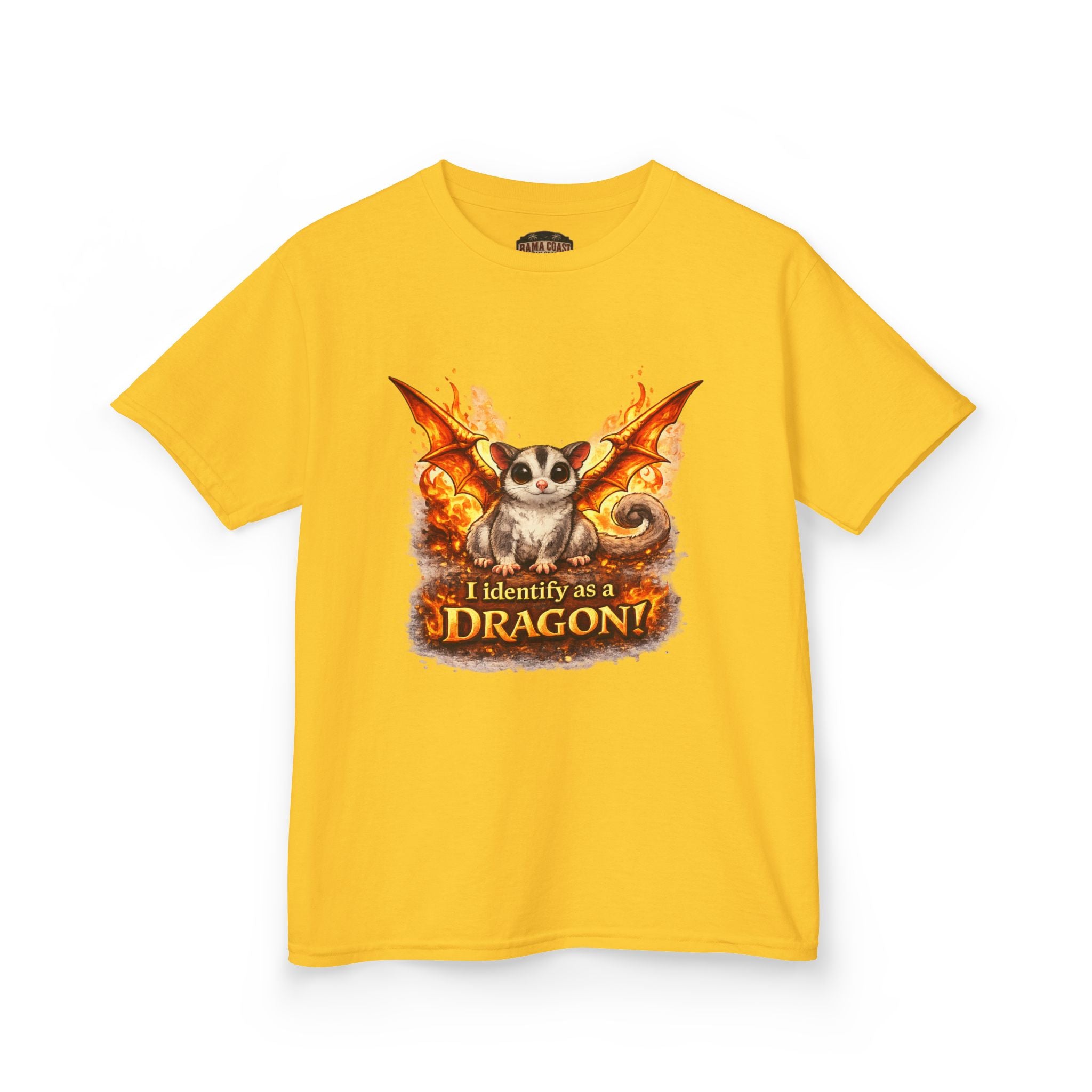 Kids Tee — 'I Identify As a Dragon' Cute Dragon Bat Graphic Shirt for Children